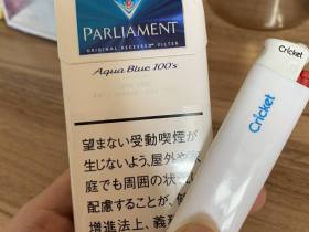 百乐门(水蓝)