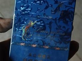 兰州(飞天花径中支)