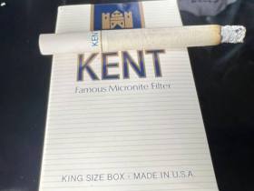 健牌(美产微米滤嘴)