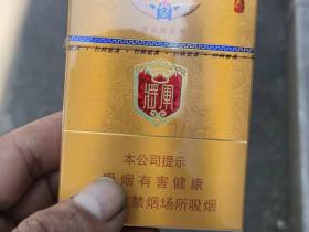 泰山(金将中支)