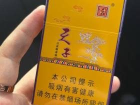 天子(金)