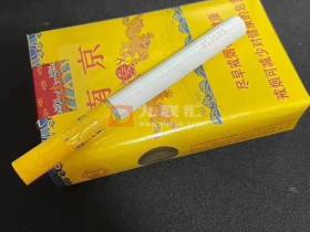 南京(软九五)