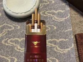 七匹狼(纯尚)