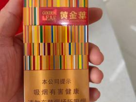 黄金叶(金炫尚)