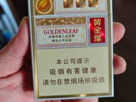 黄金叶(乐途中支)