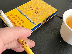 南京(细支九五)