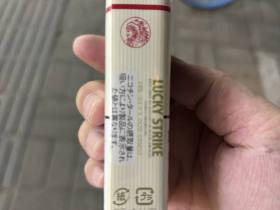 95110_79584