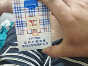七匹狼(蓝带中支)