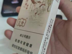 云烟(乌镇之恋中支)