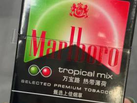 万宝路(热带薄荷中免版)