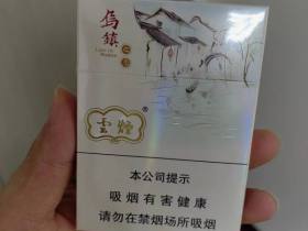 云烟(乌镇之恋中支)