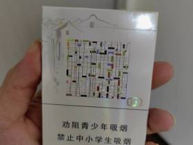 云烟(乌镇之恋中支)