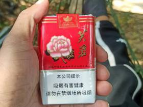芙蓉(软红)
