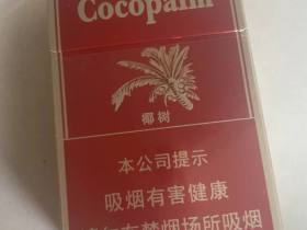 椰树(硬)