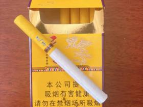 天子(金)