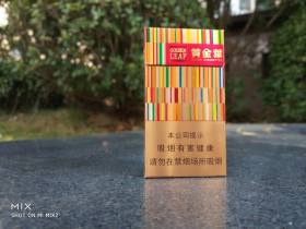 黄金叶(金炫尚)