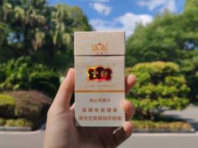 云烟(细支云龙)
