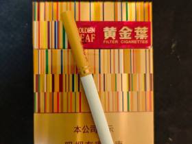 黄金叶(黄金中支)