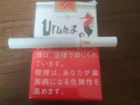 海马(软)