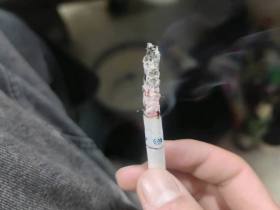 娇子(蓝时代)