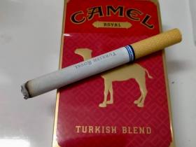 骆驼(皇家硬红)