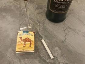 骆驼(无嘴)