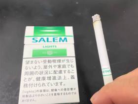 沙龙(淡味硬日版)