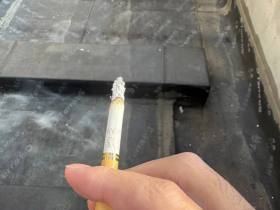 苏烟(软金砂)