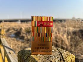 黄金叶(金炫尚)