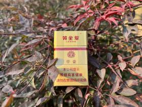 黄金叶(硬帝豪)