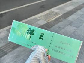 三沙(椰王绿)