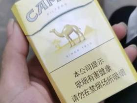 骆驼(硬新版)
