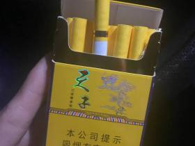 天子(金)