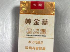 黄金叶(软天叶)