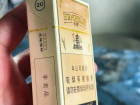 黄鹤楼(1916我的梦)