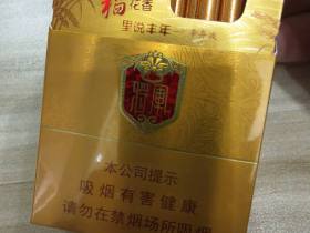 泰山(金将中支)