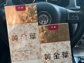 黄金叶(软天叶)