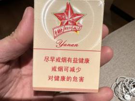 延安(青春岁月新版)
