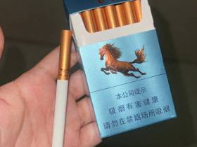 牡丹(飞马)