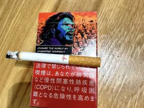 切·格瓦拉(红)