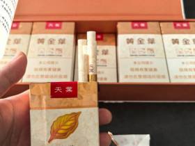 黄金叶(软天叶)