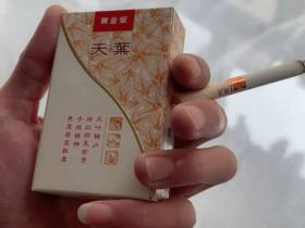 黄金叶(天叶侧旋版)