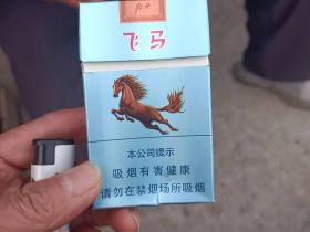 牡丹(飞马)