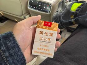 黄金叶(软天叶)