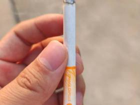 铁塔猫(橙子奶油)