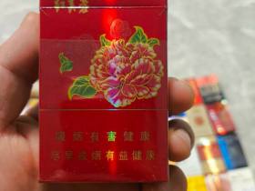 娇子(红芙蓉)