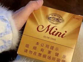 长城(迷你原味)