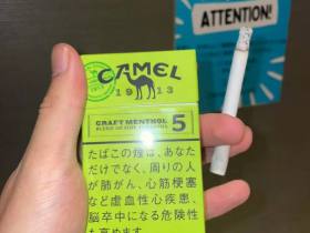 骆驼(硬绿薄荷5mg日税版)