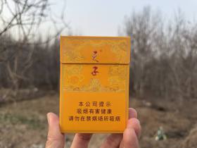 天子(中支)