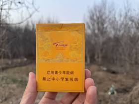 天子(中支)